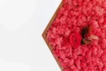 Moosbild Hexagon mit Islandmoos und Rose
