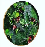 Wand Uhr mit Moos und Pflanzen - Dschungel