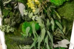 Moosbild Dschungels mit Moos und Pflanzen