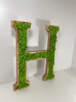 3D Holzbuchstaben für Logo aus Islandmoos