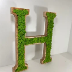 3D Holzbuchstaben für Logo aus Islandmoos