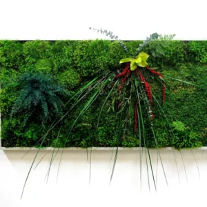Moosbild mit Pflanzen