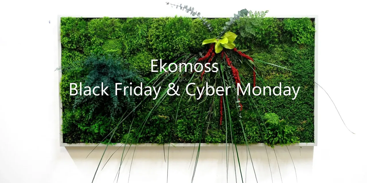 Ekomoss Black Friday and Cyber Monday